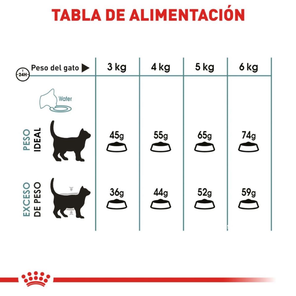 Royal Canin Indoor Intense Hairball 2.72 Kg - Alimento para gato Royal Canin Indoor Intense Hairball 2.72 Kg - Alimento para gato